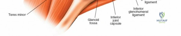 Clinical Image