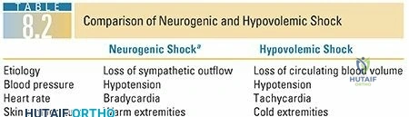 Illustration of spinal cord injury - Dr. Mohammed Hutaif