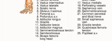 وصف طبي دقيق للمريض