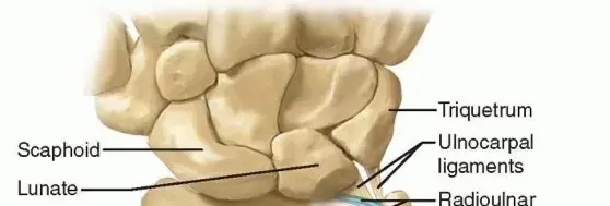 صورة توضيحية لـ وداعًا لألم الرسغ: الدليل الشامل لمتلازمة الغضروف الليفي المثلث (TFCC) وعلاجها مع الأستاذ الدكتور محمد هطيف