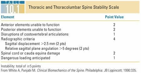 Spinal Stability: Assess Spinal Injury & Prevent Damage