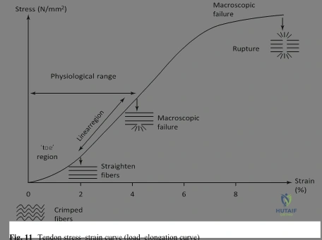 Clinical Image