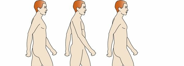 صورة توضيحية لـ إعادة التأهيل الحركي: فهم المشي، البتر، الأطراف الصناعية، الجبائر، وإصابات الجهاز العصبي مع الأستاذ الدكتور محمد هطيف