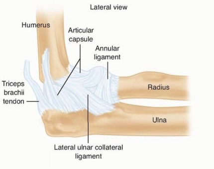 Restore Stability & Motion: Fixation of Fracture-Dislocations