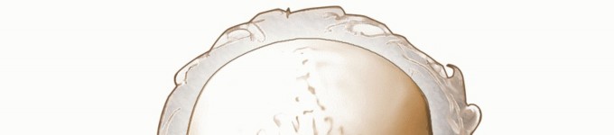 Illustration of arch of the atlas - Dr. Mohammed Hutaif