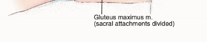 وصف طبي دقيق للمريض
