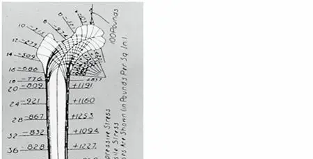 صورة توضيحية لـ كسور تحت المدور: دليلك الشامل لاستعادة الحركة والأمل مع الأستاذ الدكتور محمد هطيف