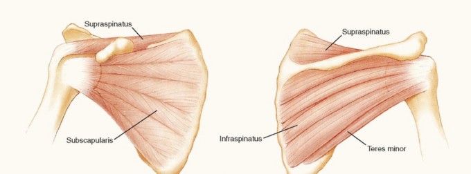 Capsular Shift Bankart Repair: Regain Shoulder Stability