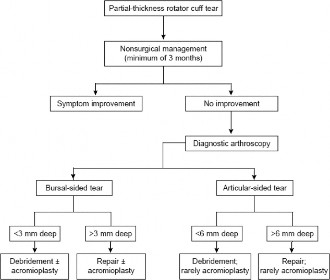 Partial-Thickness Rotator Cuff Tears: Repair or Debride?