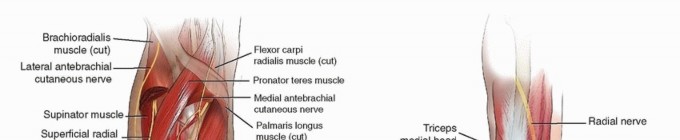 Optimal ORIF for Diaphyseal Forearm Fractures: Your Guide