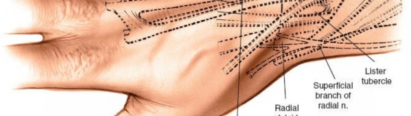 Illustration 5 for Dorsal Wrist Approach: Expert Access to the Column of the Distal Radius