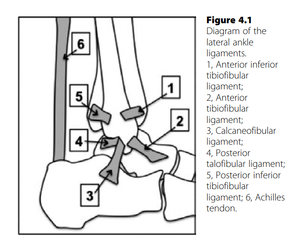Oral Questions Lateral: Ankle Instability Exam Prep