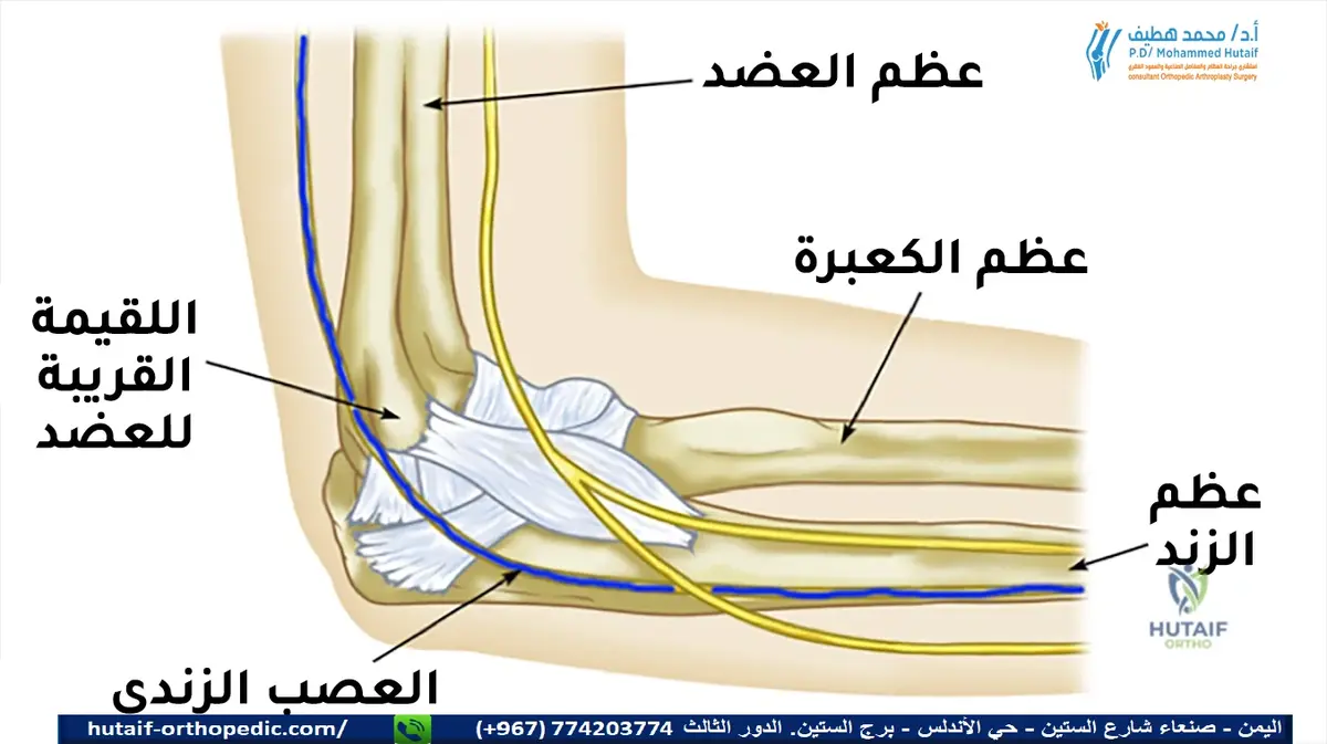 الم المرفق الم: لا تدع هذا الألم يصبح مزمناً! حلول فعالة ومبتكرة