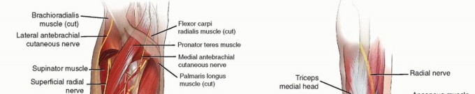 Open Reduction and Internal Fixation of Diaphyseal Forearm Fractures