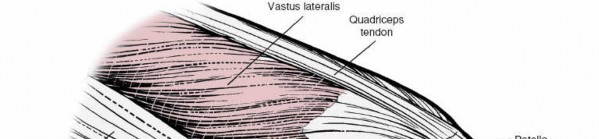 Unlock Surgical Precision: Anatomy of the Lateral Knee