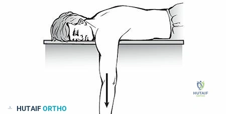Principles of Operative Arthroscopy: Indications, Techniques, and the Mastery of Triangulation
