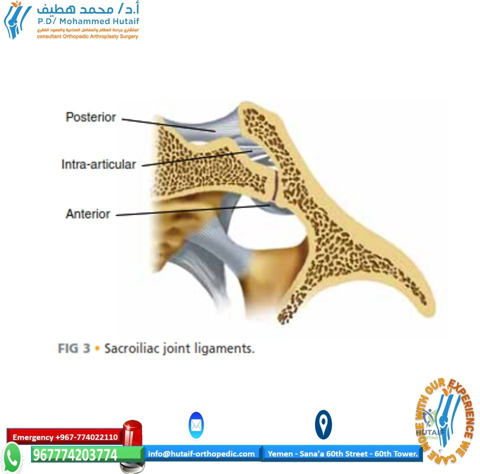 Best Orthopedic Surgeon in YEMEN