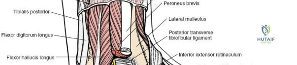Clinical Image