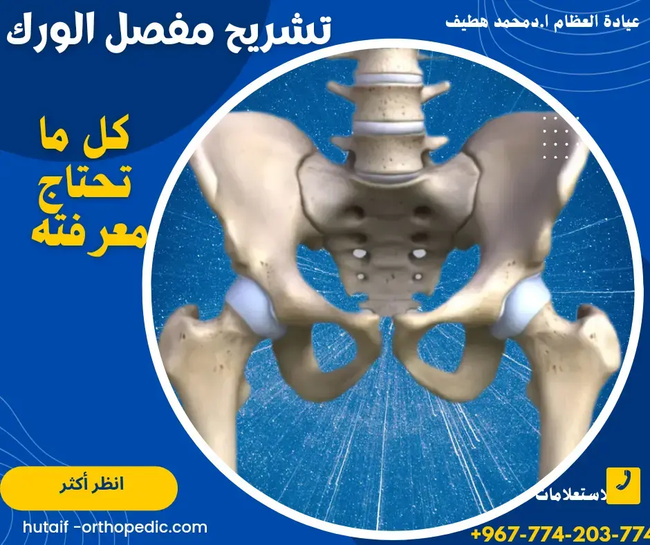 زرع مفصل الورك: اكتشف أحدث تقنيات التثبيت بدون أسمنت!