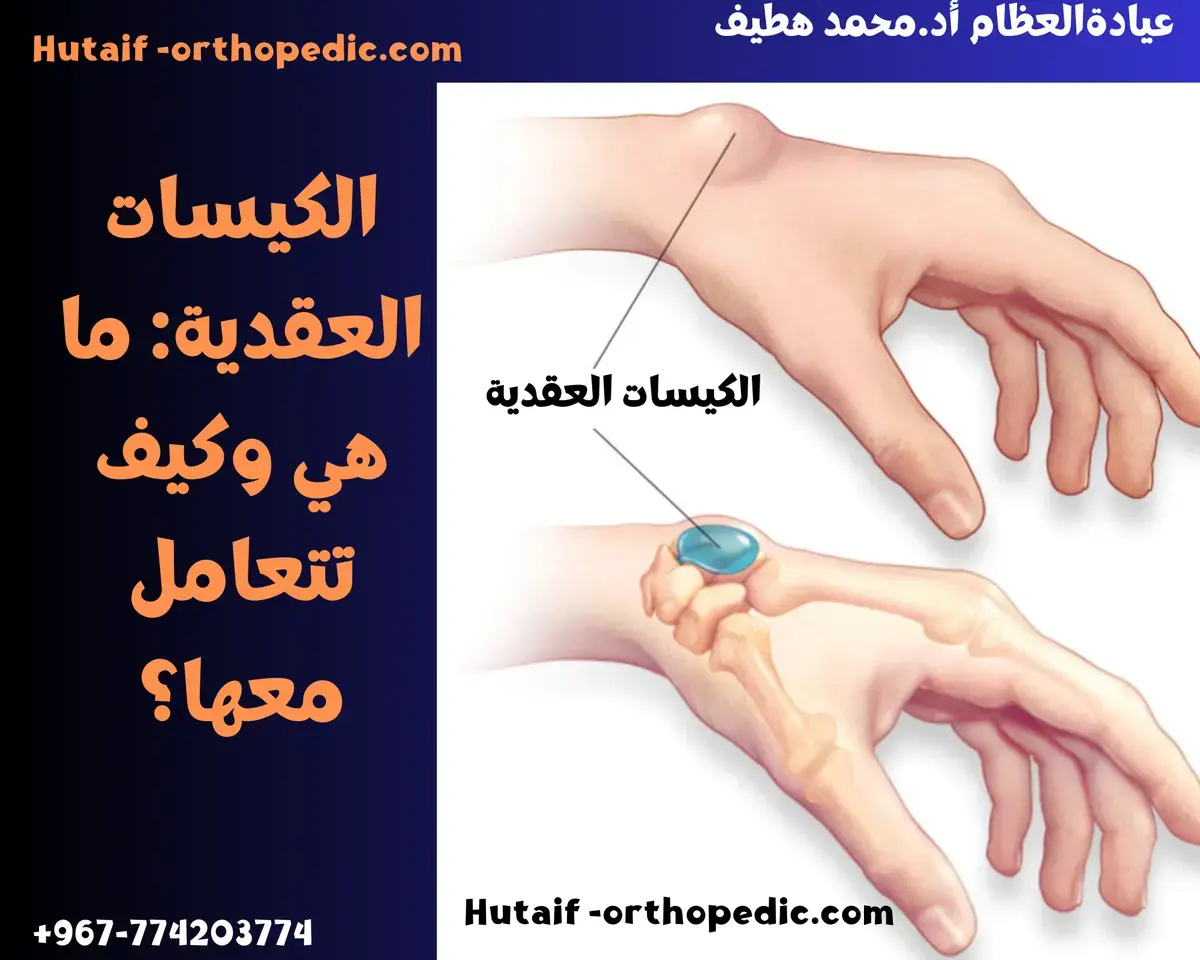اكتشف: أسرار الأوعية الدموية في الطرف العلوي!