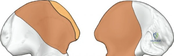 Clinical Image