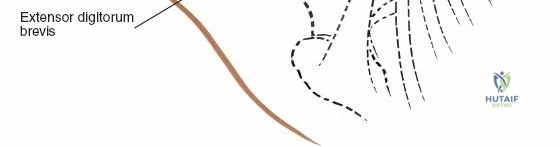 Clinical Image