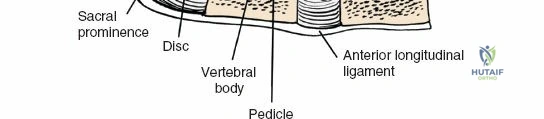 Clinical Image