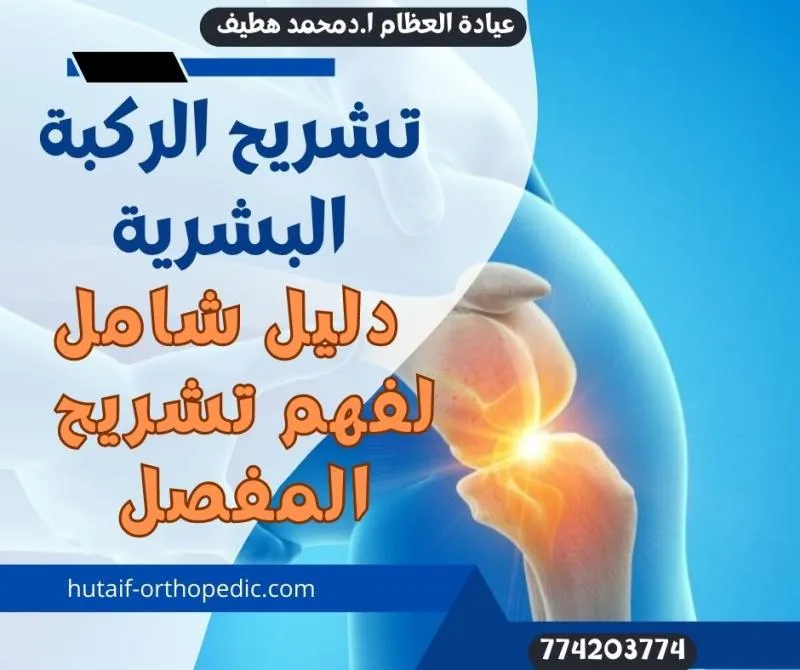 عداء يربط حذاءه، مع التركيز على أهمية الأحذية المناسبة في الوقاية من ركبة العدّاء