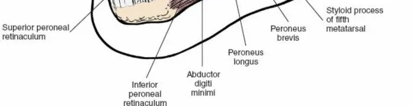 صورة بالأشعة السينية للقدم بعد الجراحة