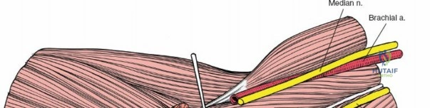 Clinical Image