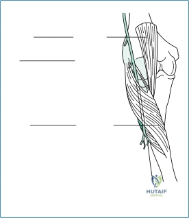 Clinical Image
