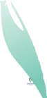 Clinical Image