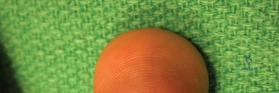 Illustration of base of the distal - Dr. Mohammed Hutaif