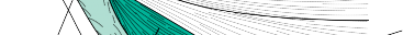 Clinical Image