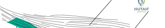Clinical Image