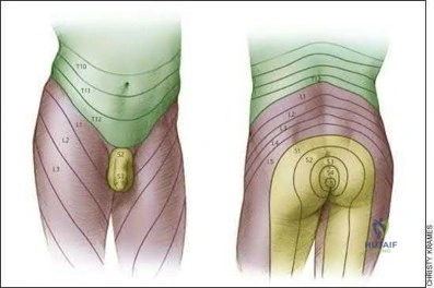 صورة طبية: دليل شامل لكسور وإصابات الجهاز الحركي: رعاية متقدمة في صنعاء مع الأستاذ الدكتور محمد هطيف