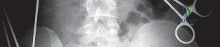 توثيق 12