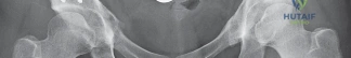 توثيق 29