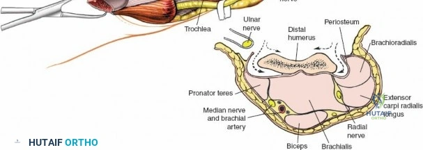 Clinical Image