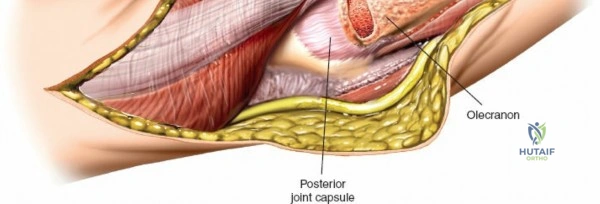 Clinical Image