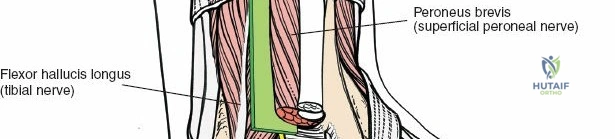 Clinical Image