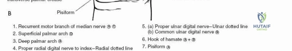 Principles of Surgical Treatment in Operative Orthopaedics