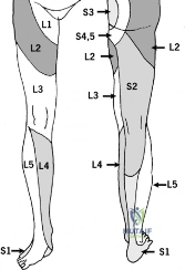 Clinical Image