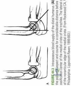 Clinical Image