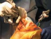 Clinical Image