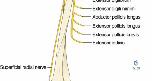 Clinical Image