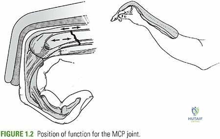 Clinical Image