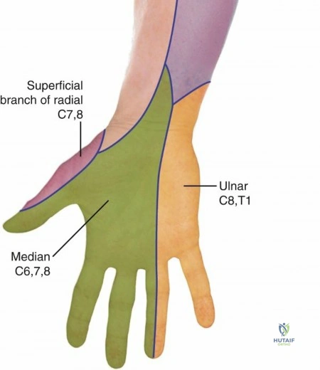 Clinical Image