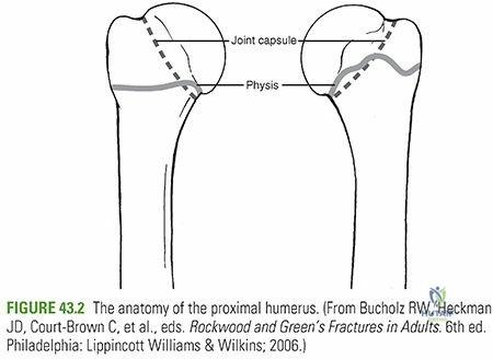 Clinical Image