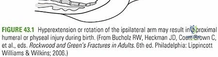 Clinical Image